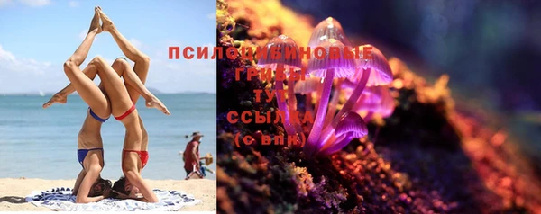 МДПВ Абдулино