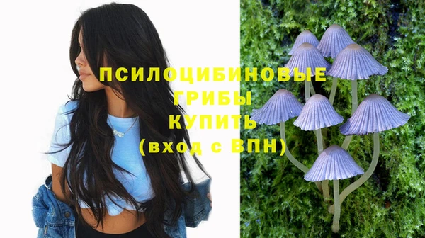 МДПВ Абдулино
