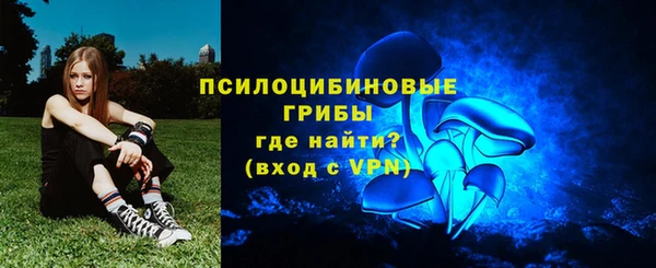 МДПВ Абдулино