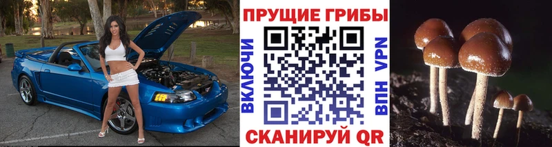 цена   Симферополь  blacksprut вход  Псилоцибиновые грибы Magic Shrooms 